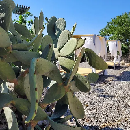Cicale In Masseria Dimore Di Charme *
